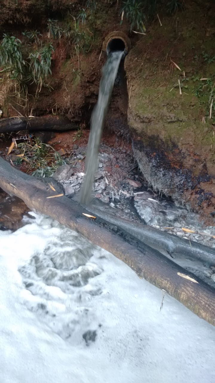 Lavanderia é suspeita de fazer despejo irregular no córrego Cleópatra