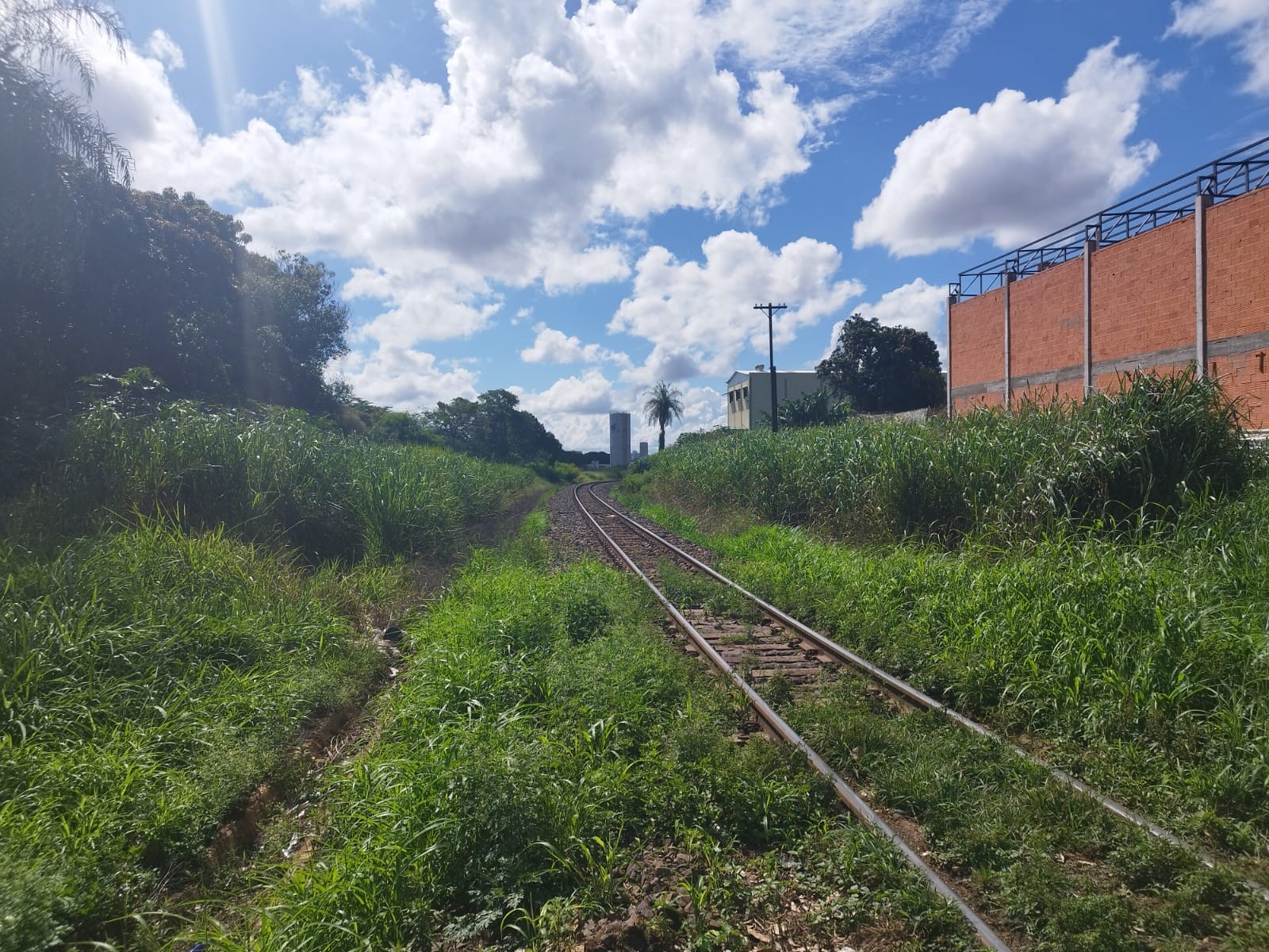 Prefeitura multa empresa Rumo em R$ 15 mil reais por conta do mato alto em linha férrea