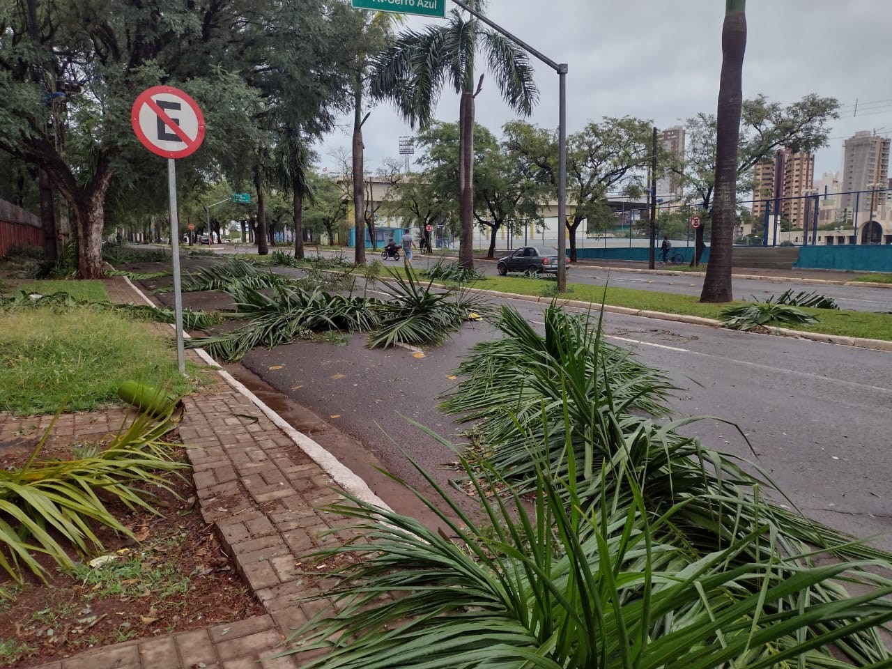 Força-tarefa para limpeza e reparos continua nesta quarta-feira (27) em Maringá