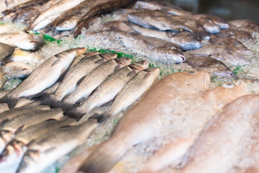 Pescados apresentam diferença de até 271% no preço em Maringá