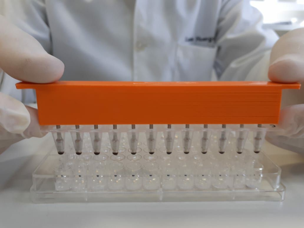 Método descrito por pesquisadores da UFPR aprimora teste rápido de coronavírus