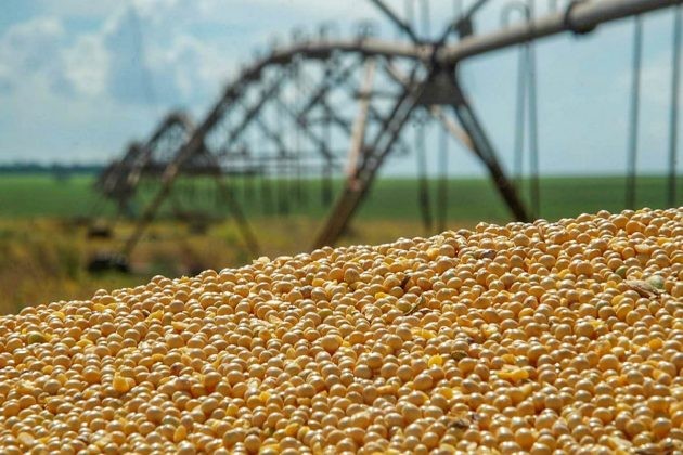 Deral estima que a produção de grãos 2018/19 deve ser 5% superior à safra anterior