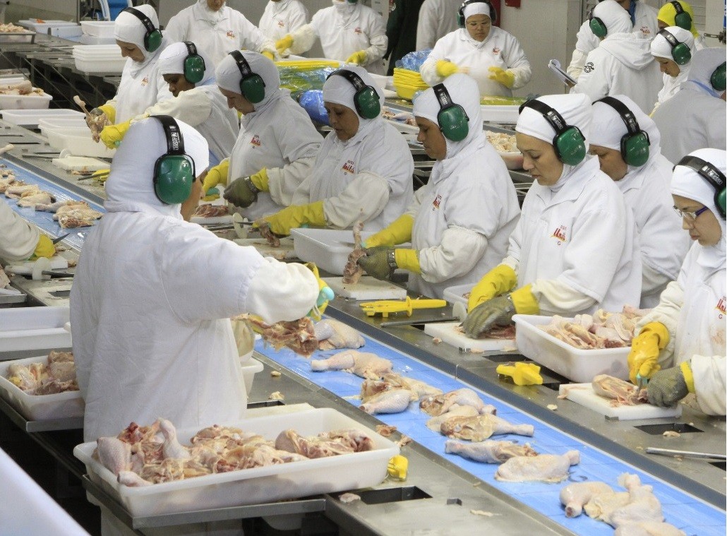 Se a greve não acabar, 90% da produção de proteína animal pode ser interrompida