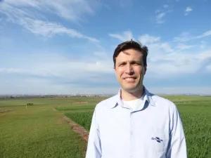 Sementes precisam de cuidados para manter seu vigor