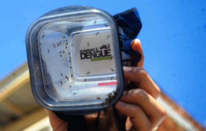 Em 10 anos, região de Maringá registrou mais de 47 mil casos de dengue