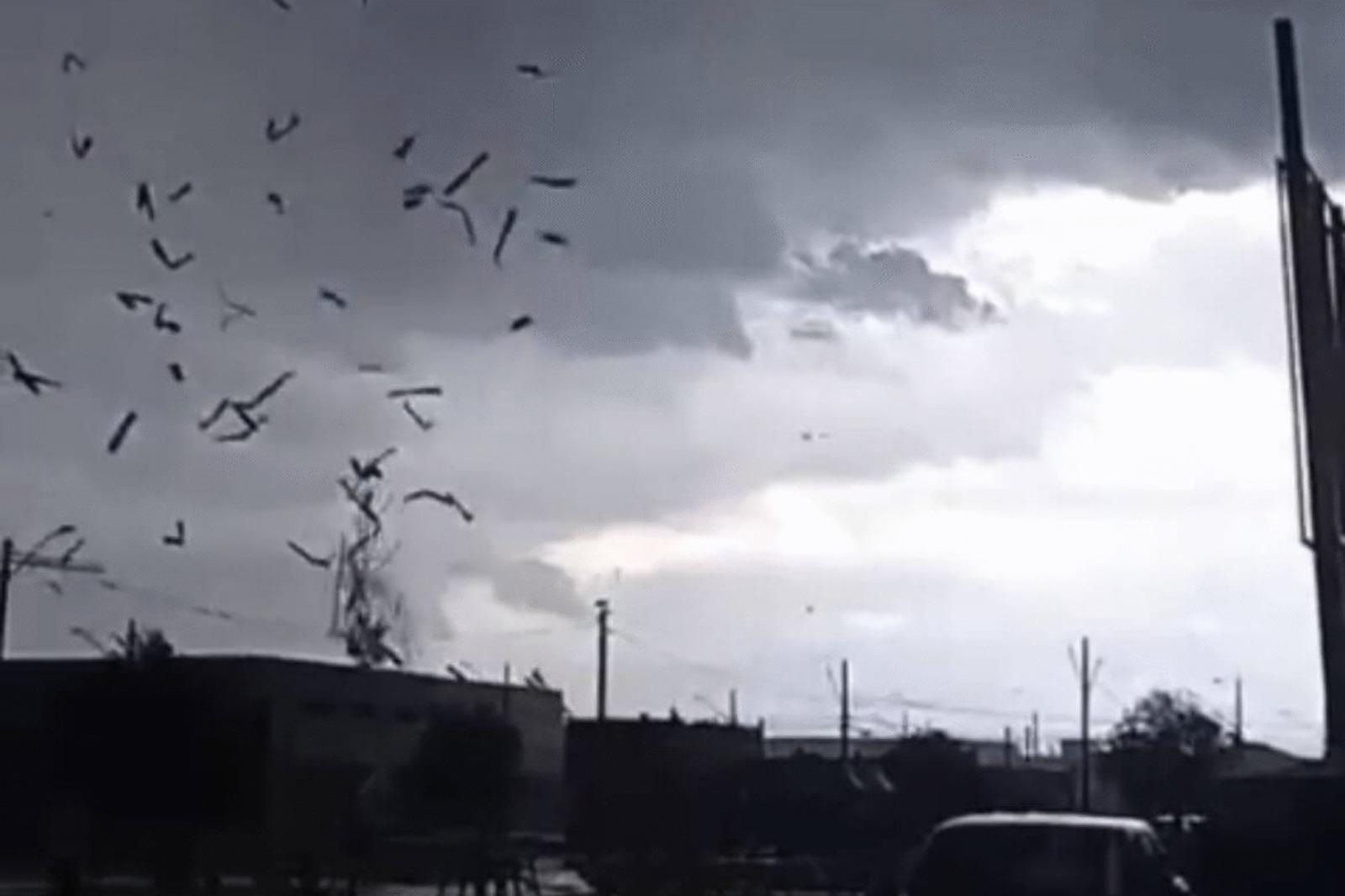 Simepar confirma tornado em São José dos Pinhais após temporal