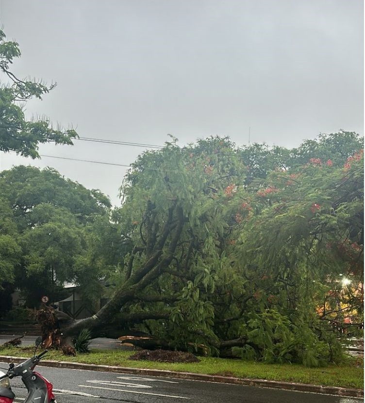 Volume de chuva ultrapassa média histórica em Maringá