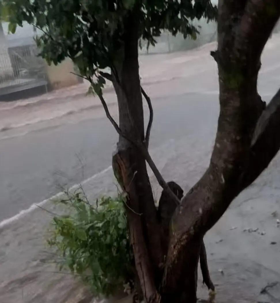 Chuva provoca alagamentos e transtornos em Maringá e Sarandi