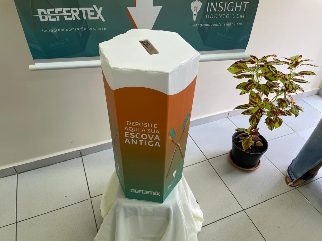 Por que fazer o descarte correto de uma escova de dente?