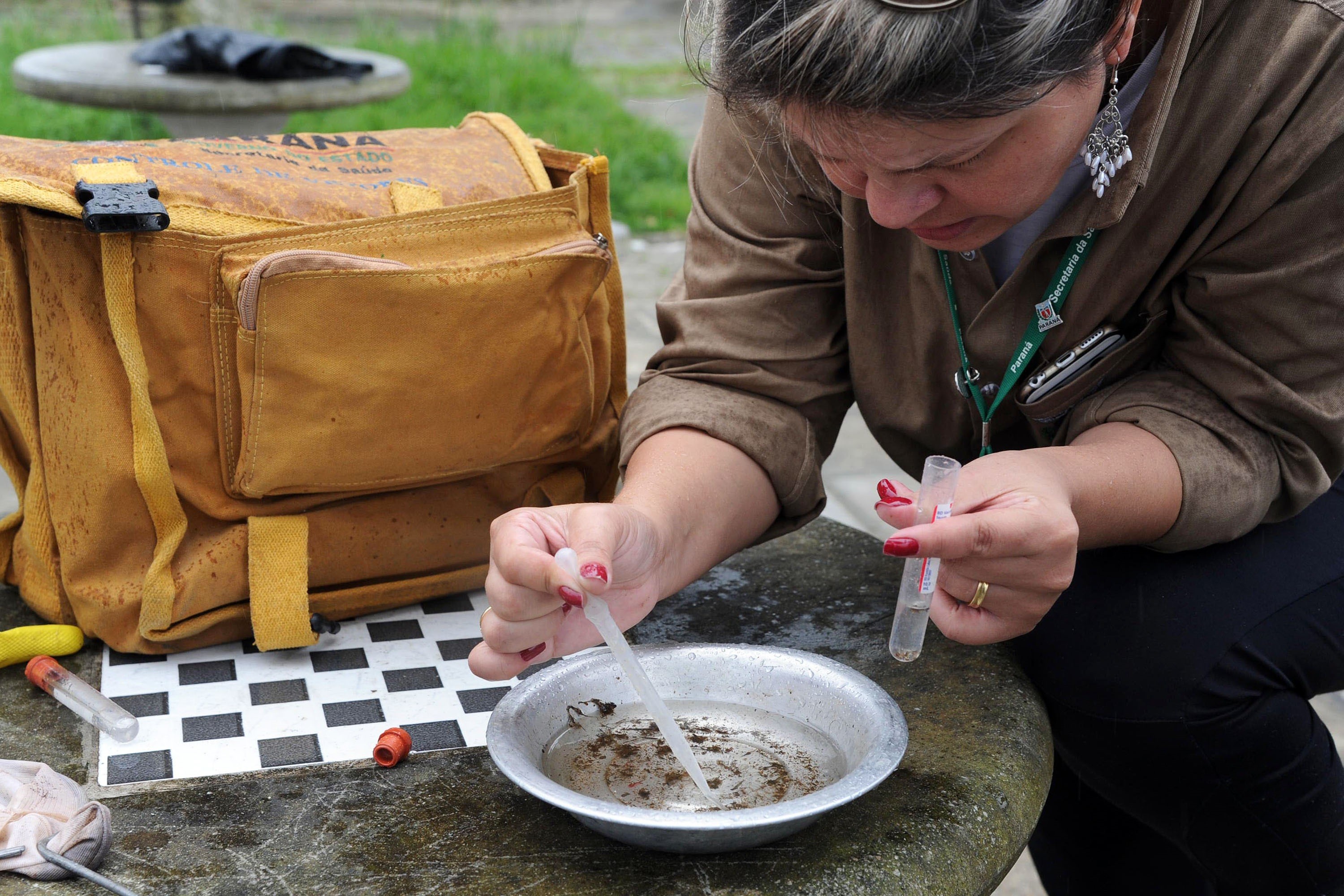 Maringá confirma 652 casos de dengue em uma semana