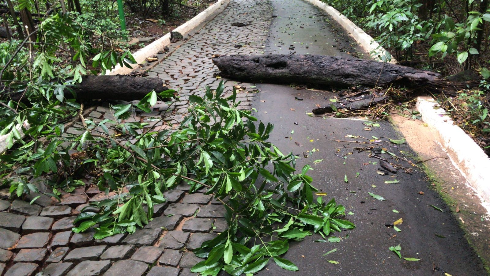 Parque do Ingá ficará fechado neste domingo (24) por causa do temporal