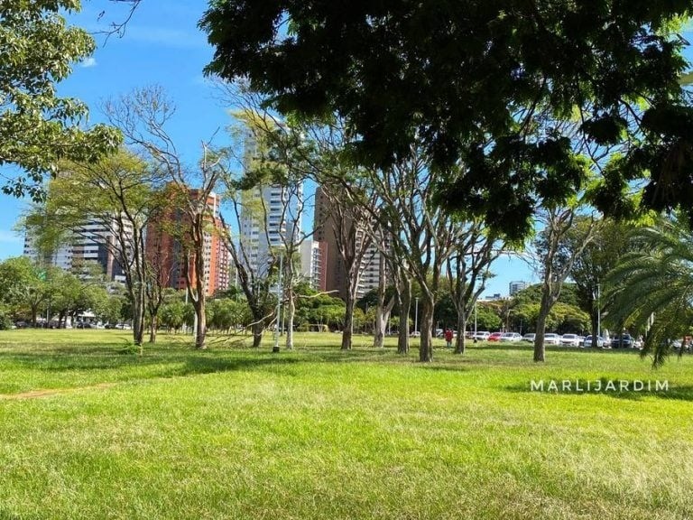 Sábado será de sol e temperaturas agradáveis em Maringá