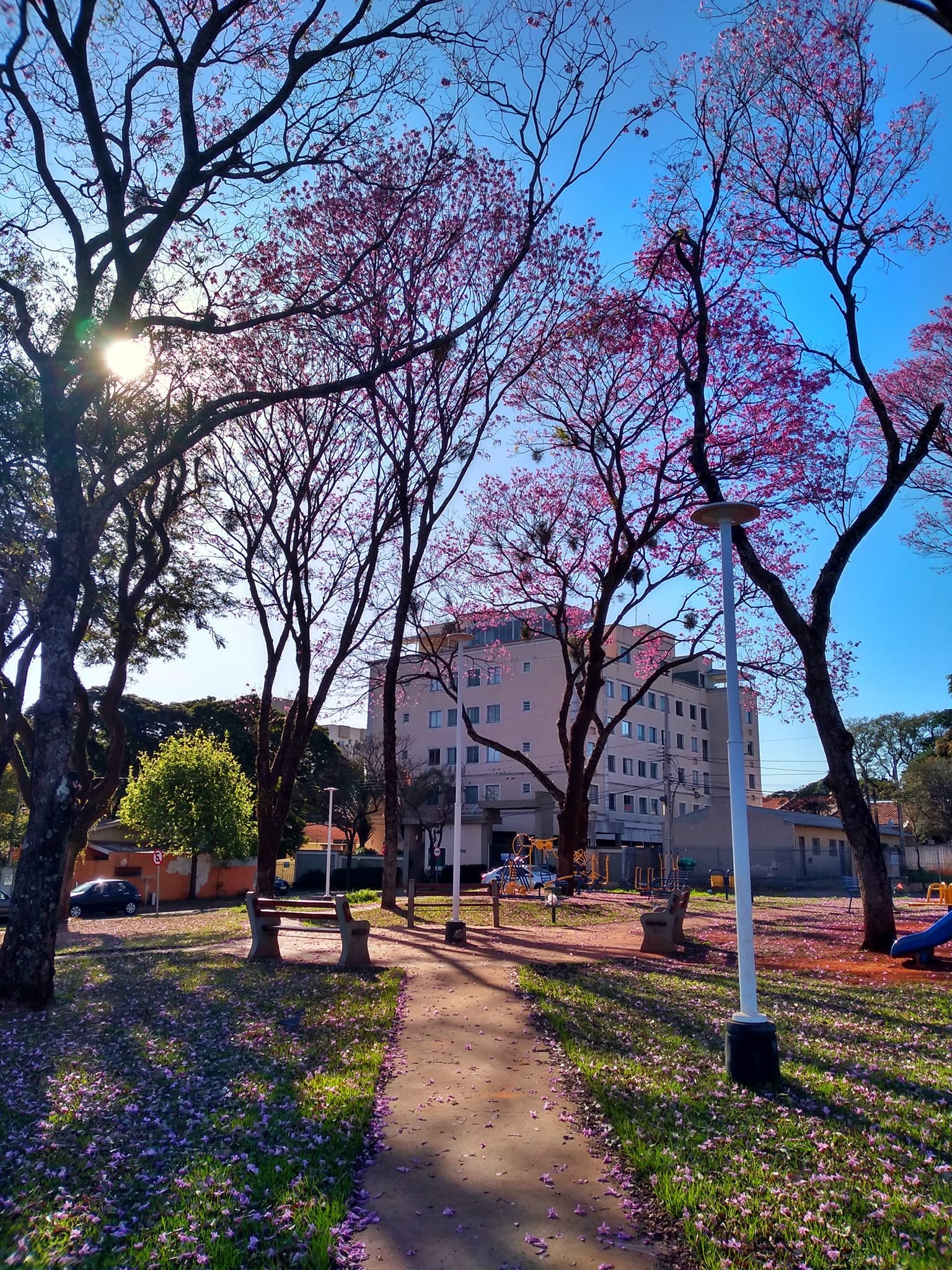 Semana começa com tempo seco e altas temperaturas em Maringá