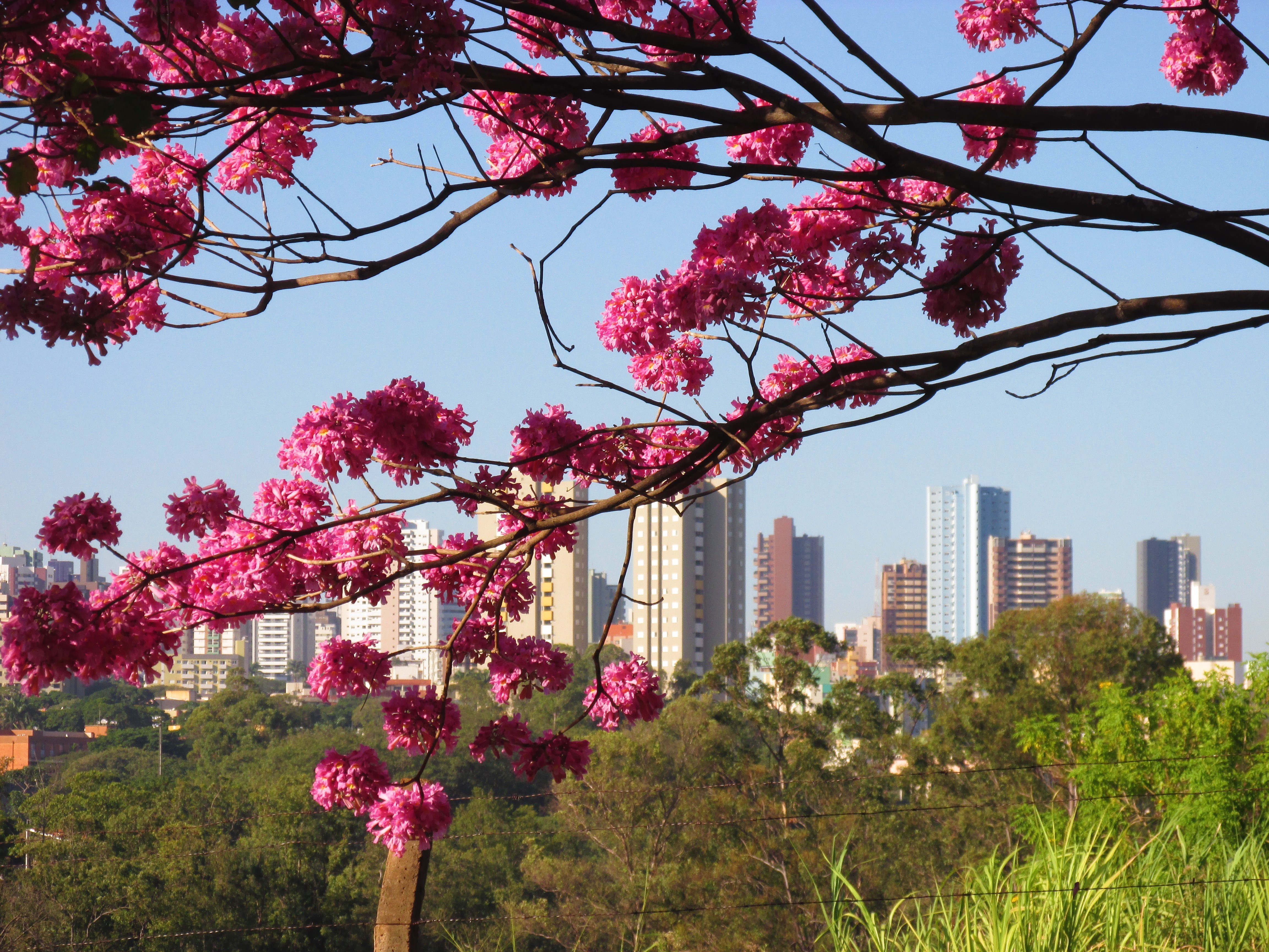 Temperaturas seguem em elevação nesta terça-feira (23), em Maringá