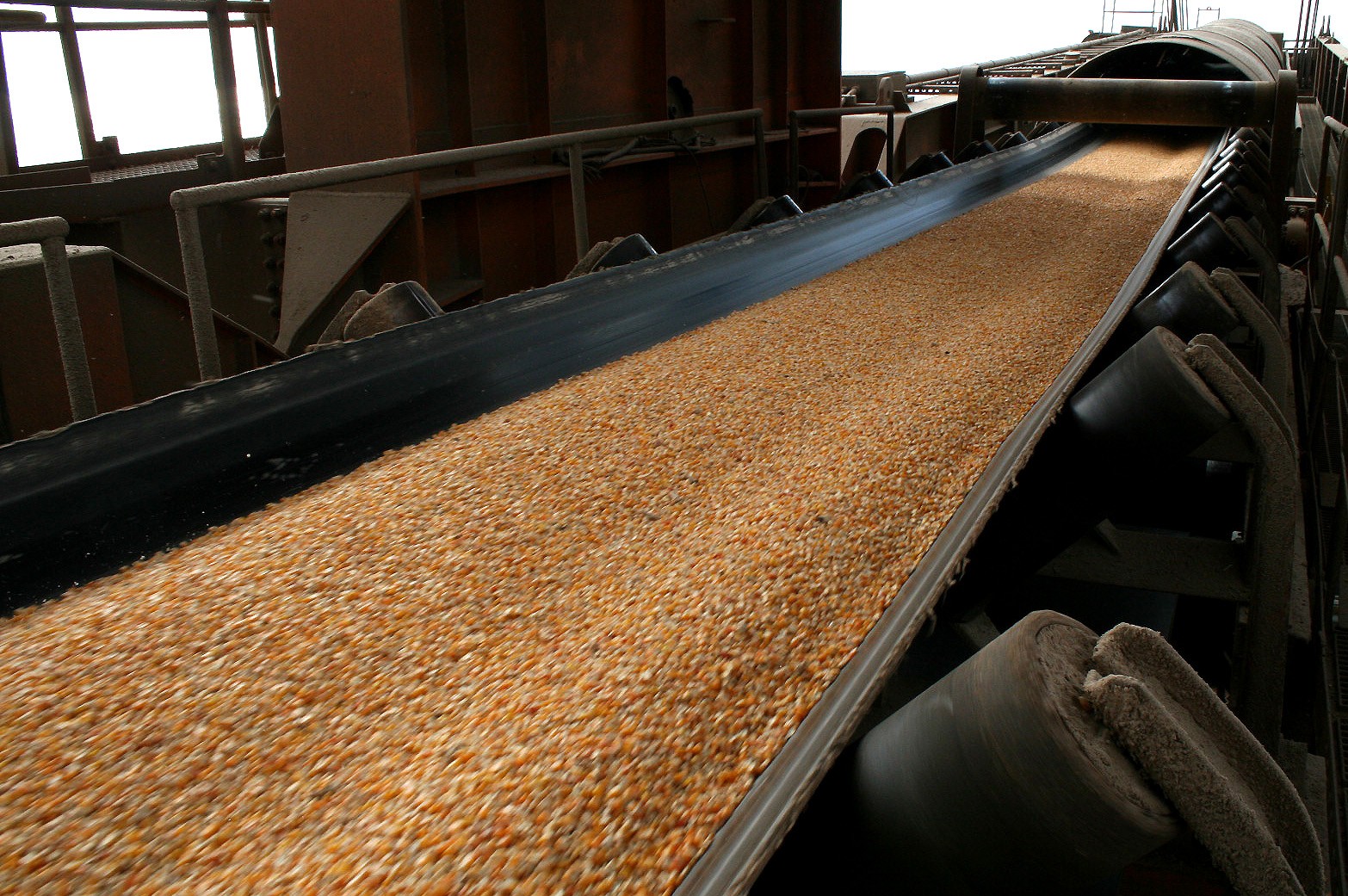 Em cinco anos, Brasil pode ultrapassar os EUA como maior exportador de milho