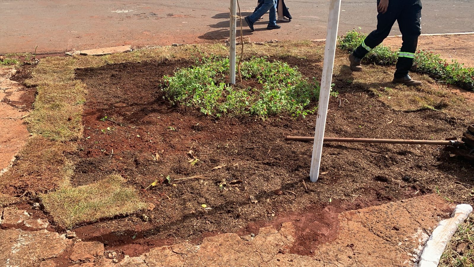 Projeto revitaliza áreas públicas para evitar o descarte de resíduos sólidos