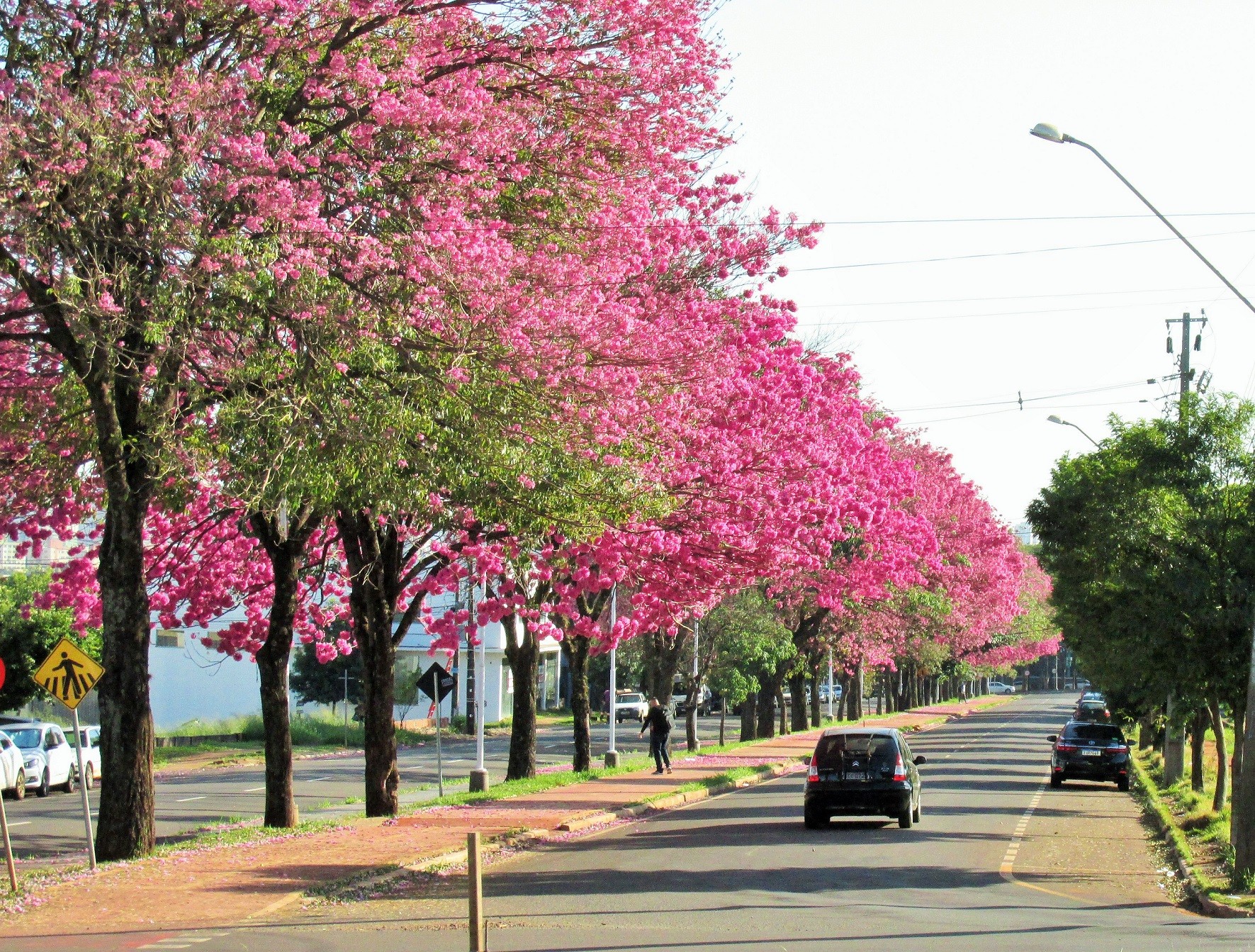 Maringá segue com temperaturas amenas nesta segunda-feira (15); veja previsão