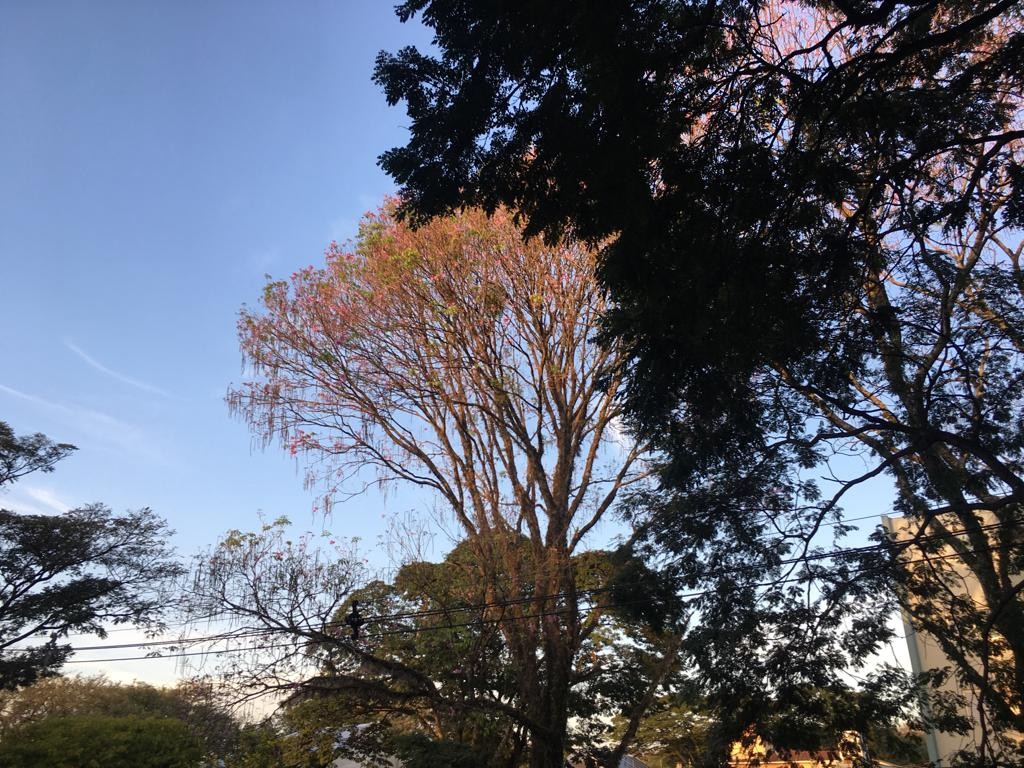 Domingo sem previsão de chuva e temperatura máxima de 29ºC