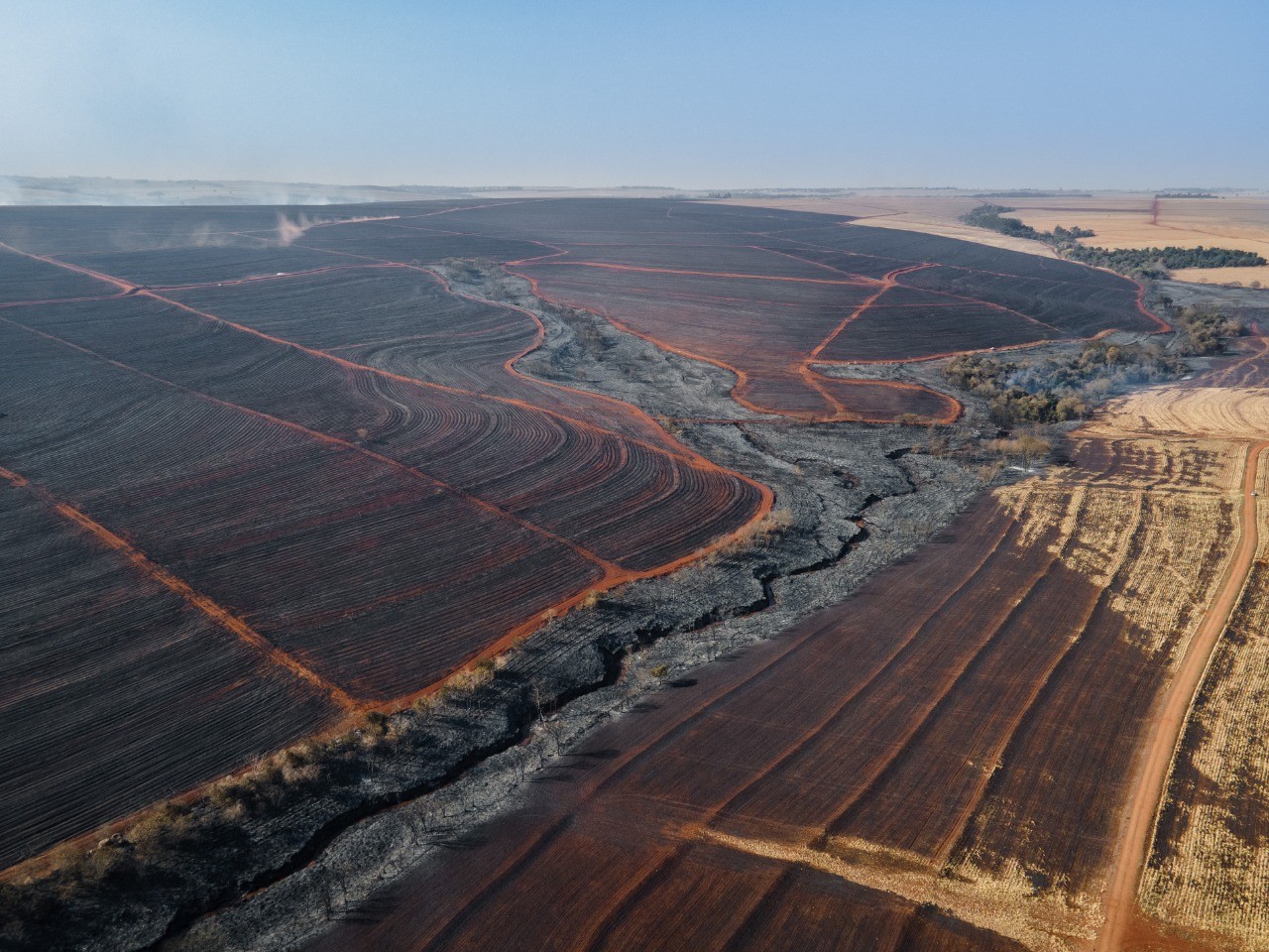 Incêndio de grandes proporções no noroeste é destaque do CBN Paraná