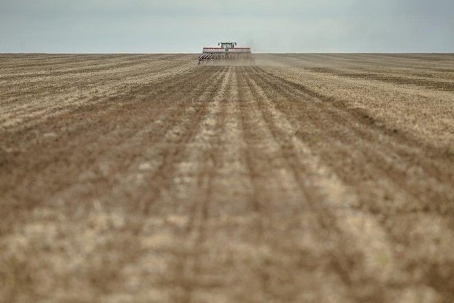 Lavoura dos EUA pode ter grande colheita este ano