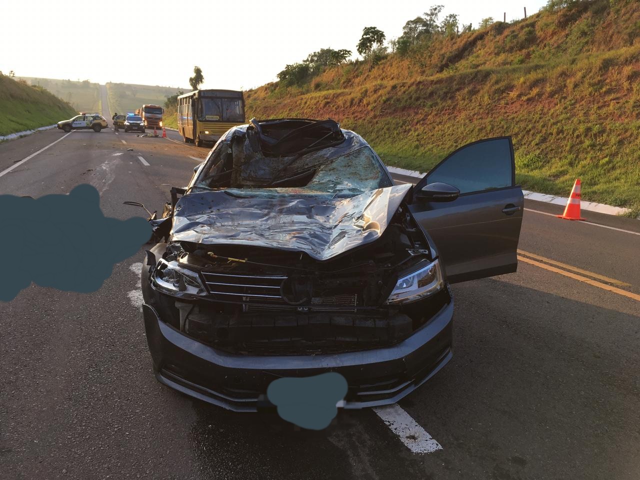 Carro atropela e mata idoso e cavalo na BR-487