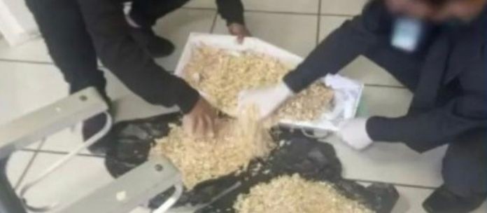 MP arquiva investigação sobre família que recebeu saco com serragem no lugar de corpo de bebê natimorto em Ponta Grossa