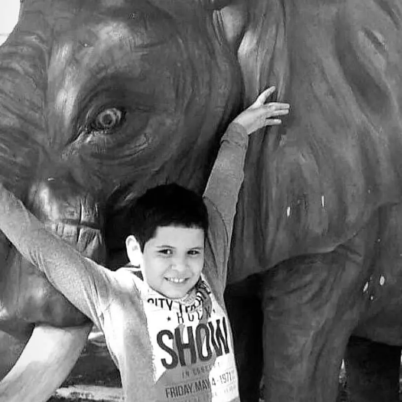 Órgãos do menino Ryan serão doados e vão beneficiar oito crianças