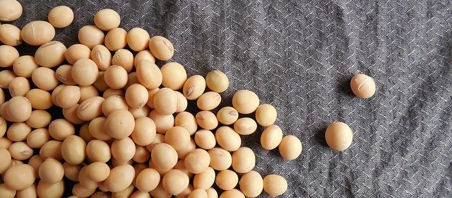 Produtores de soja venderam o menor volume da nova safra 