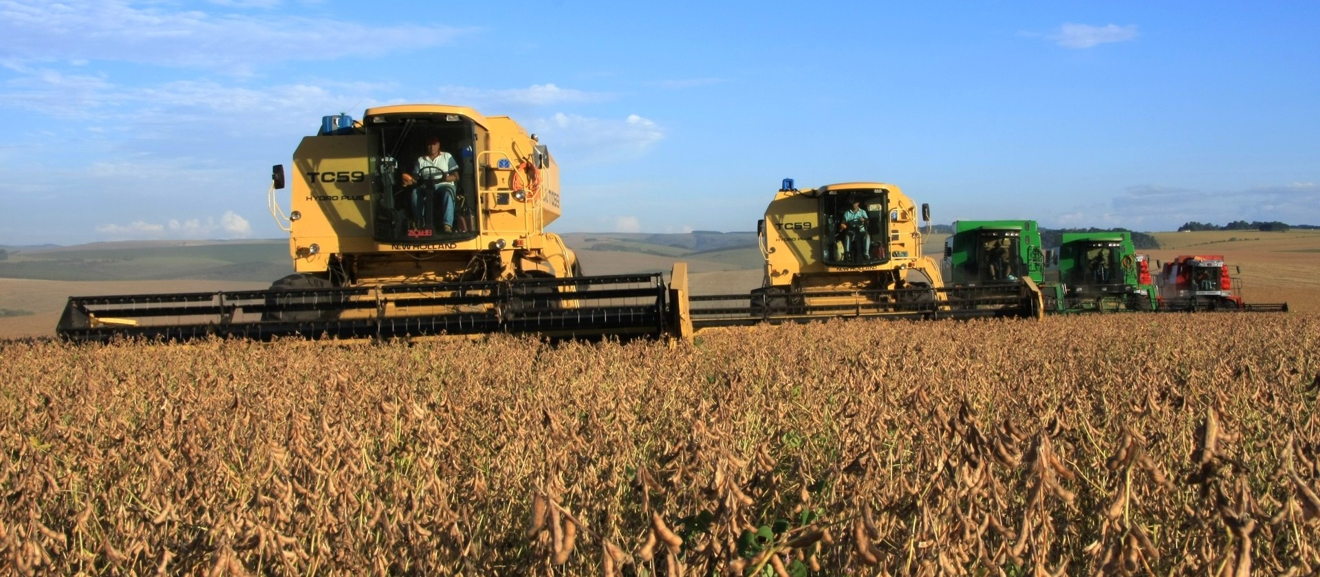 Exportações brasileiras de soja atingem 14,6 toneladas em abril