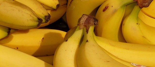 Produtores estão se mobilizando para impedir a importação de banana do Equador 