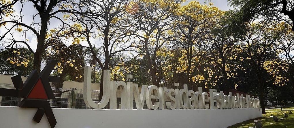 UEM oferece mais de 650 vagas nos cursos de graduação pelo Sisu
