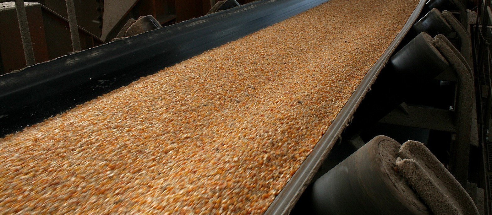Preço do milho no Brasil recua 3% em três semanas