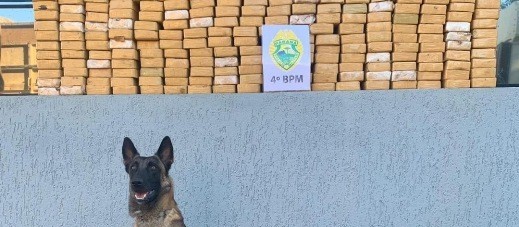 Cães da PM encontram 213 kg de crack em bitrem