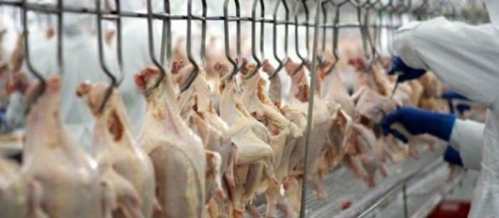 Exportações brasileiras de carne cresceram 778% em 25 anos