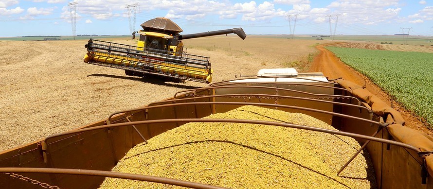 Brasil tem elevação na produção de soja, aponta Conab