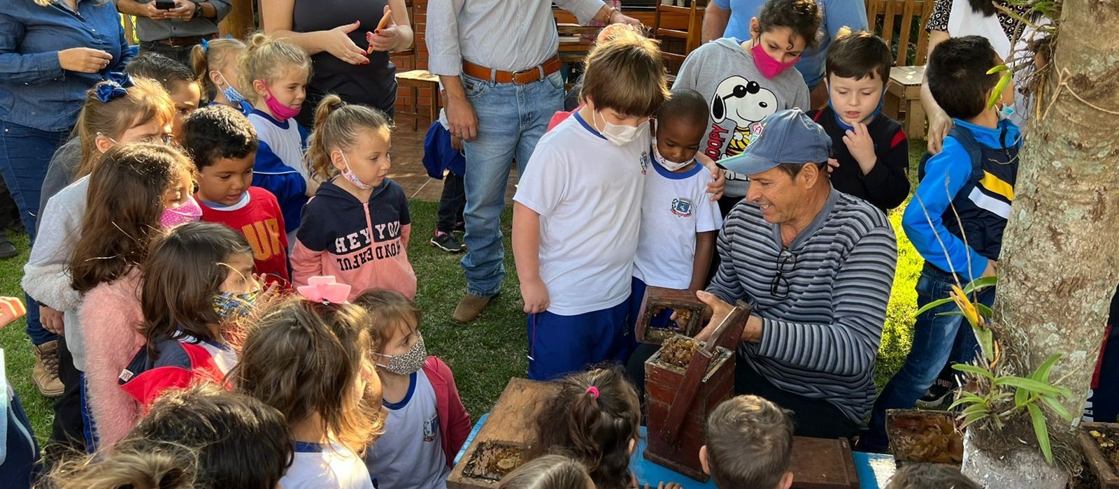 Projeto aproxima crianças das abelhas em Marialva