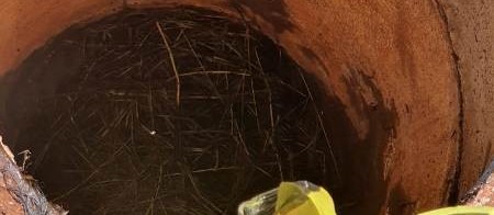 Homem desaparecido é encontrado morto dentro de bueiro em Maringá