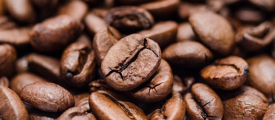 Preço faz produtor segurar a produção de café