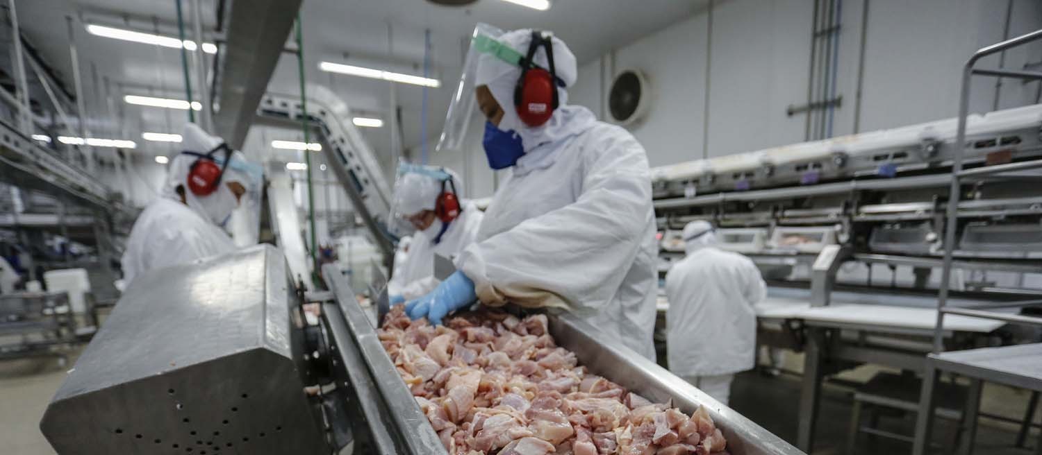 China e Japão compraram 1/4 da carne de frango negociada no mundo em 2020