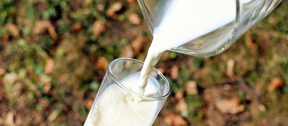 Paraná é o segundo estado que mais produz de leite no país