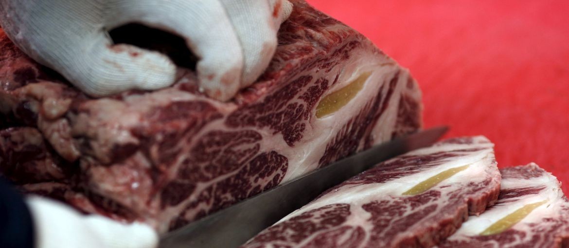 Exportações de carne bovina apresentam queda em novembro