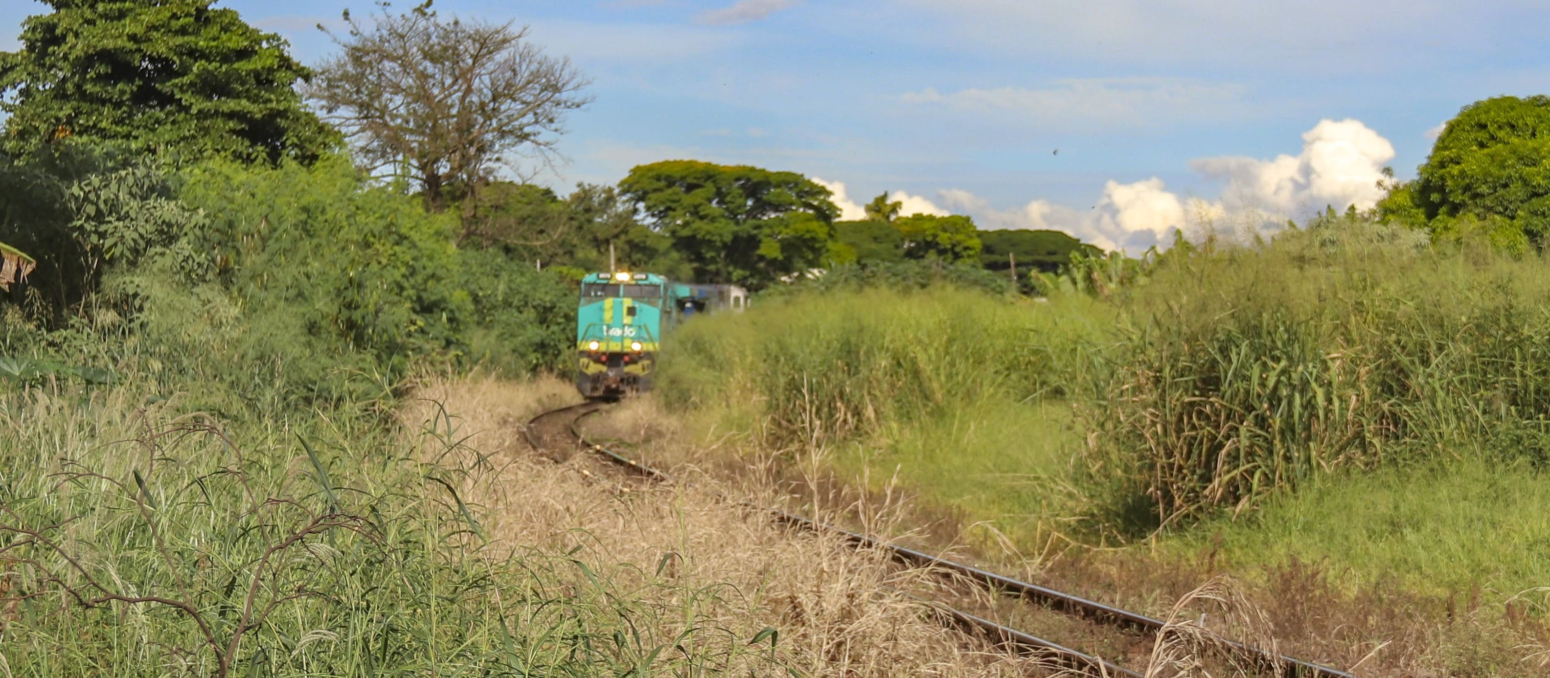 Meio Ambiente de Sarandi multa concessionária de ferrovia em R$ 235 mil 