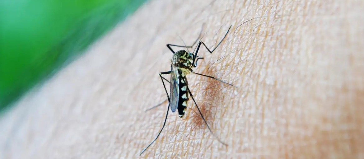 Secretaria de Saúde anuncia 4ª morte suspeita de dengue em Umuarama