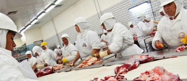 Mercado do boi gordo eleva número de abates em frigoríficos