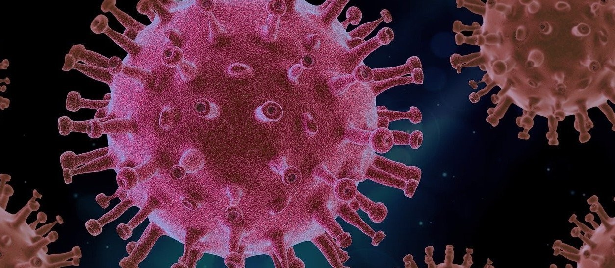 Confira os dados sobre coronavírus do boletim deste domingo (20)