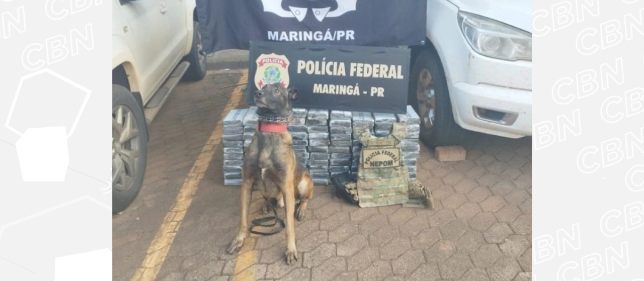 Polícia Federal prende duas pessoas com 100 quilos de cocaína