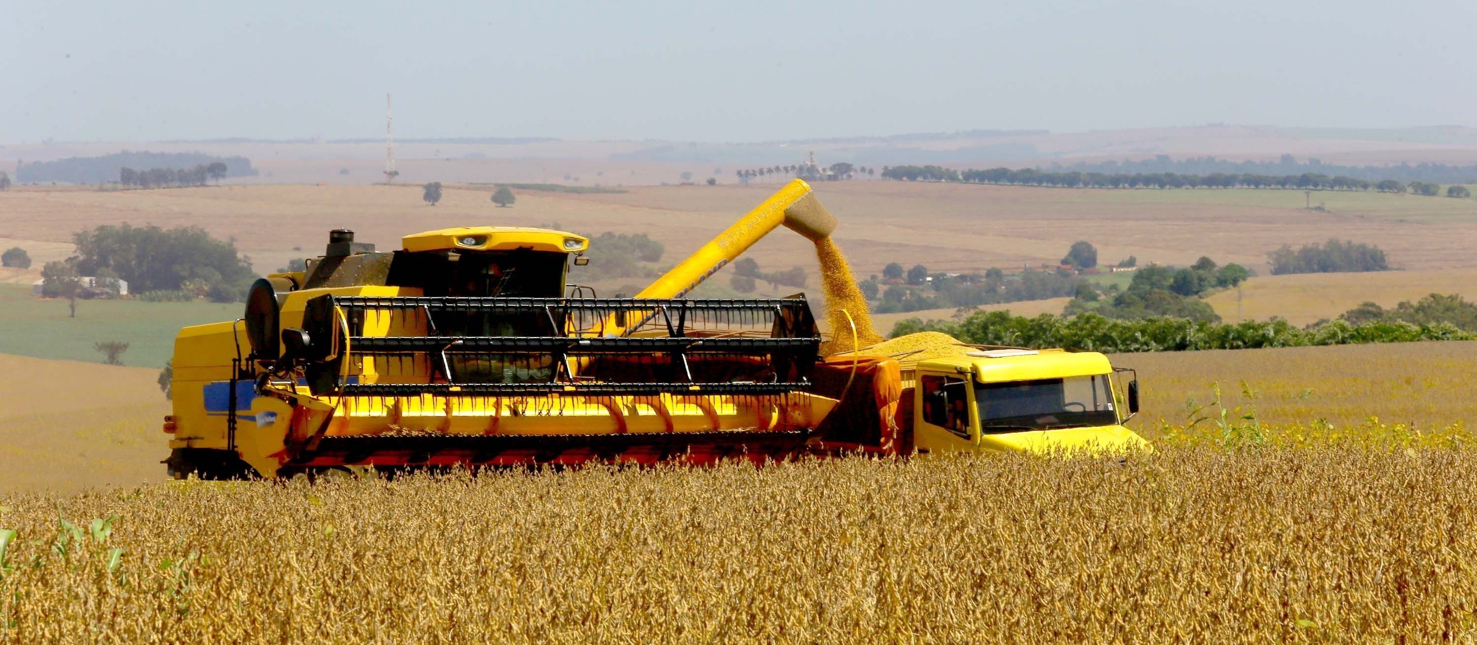 Comportamento do clima preocupa produtores rurais