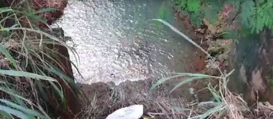 Ouvinte da CBN registra erosão coberta de água em fundo de vale sem cercamento