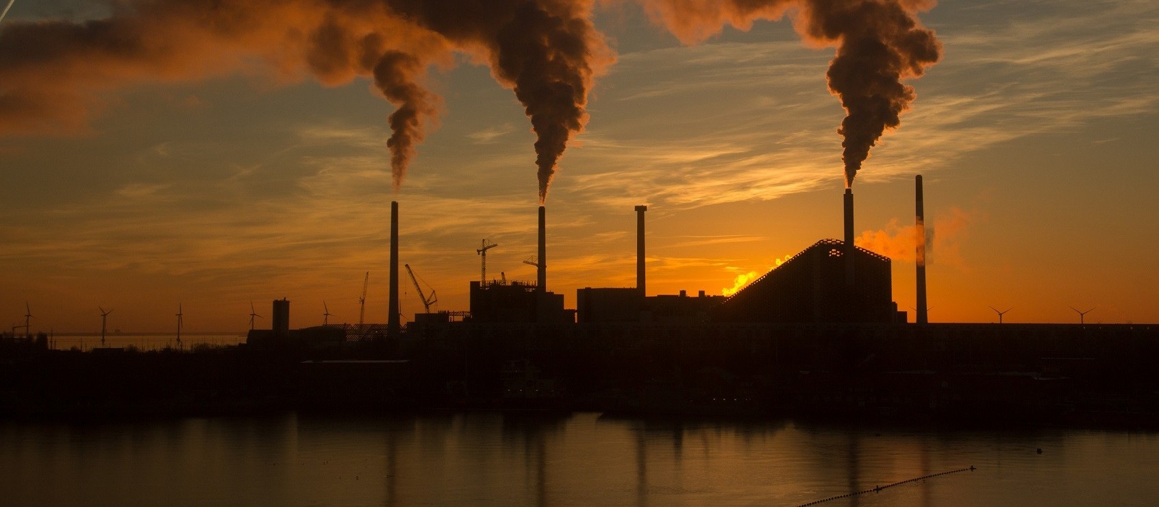 Mercado de carbono avança, mas não é suficiente para reverter aquecimento global