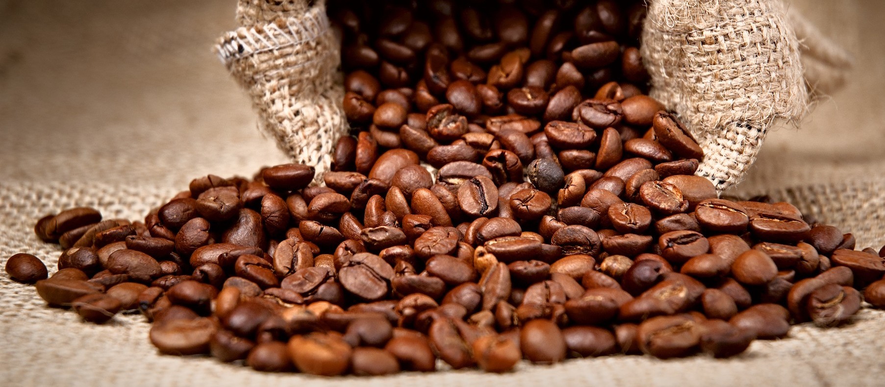 Saca do café custa R$ 369 na região de Maringá
